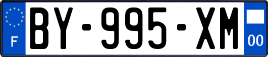 BY-995-XM