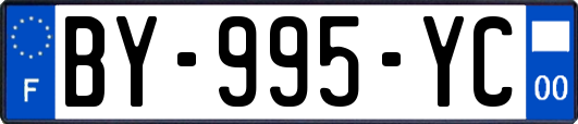 BY-995-YC