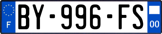 BY-996-FS