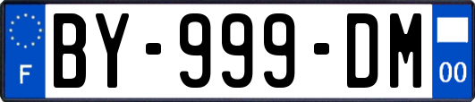 BY-999-DM