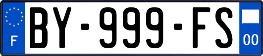 BY-999-FS