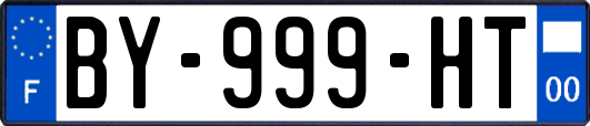 BY-999-HT