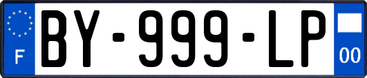 BY-999-LP