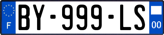BY-999-LS
