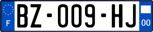 BZ-009-HJ