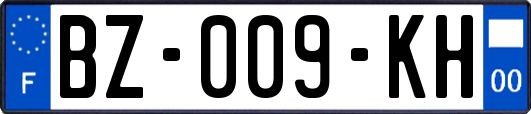 BZ-009-KH