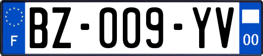 BZ-009-YV