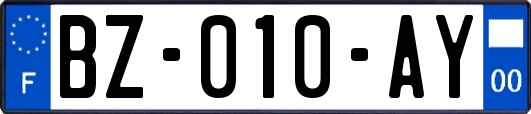 BZ-010-AY