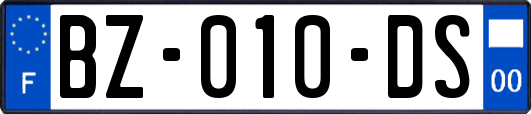 BZ-010-DS