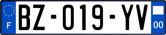 BZ-019-YV