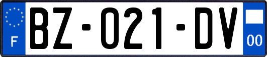 BZ-021-DV