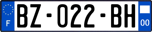 BZ-022-BH