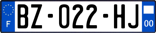 BZ-022-HJ