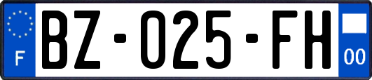 BZ-025-FH