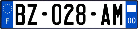 BZ-028-AM