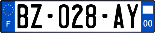 BZ-028-AY