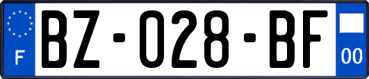 BZ-028-BF