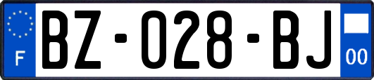 BZ-028-BJ