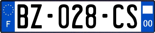 BZ-028-CS