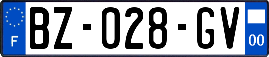 BZ-028-GV