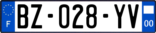 BZ-028-YV