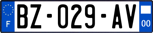 BZ-029-AV