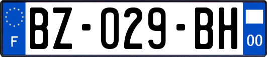 BZ-029-BH