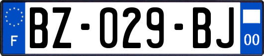 BZ-029-BJ