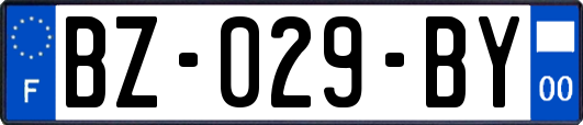 BZ-029-BY