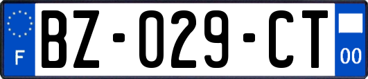 BZ-029-CT