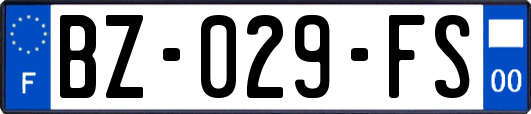 BZ-029-FS