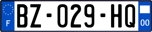 BZ-029-HQ