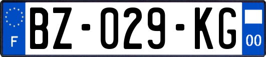 BZ-029-KG