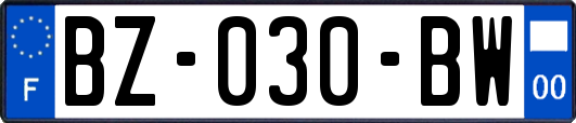 BZ-030-BW