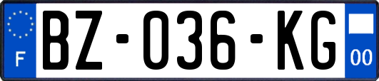 BZ-036-KG