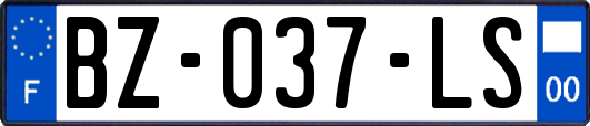 BZ-037-LS