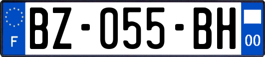 BZ-055-BH