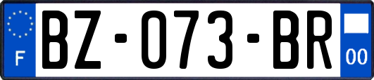 BZ-073-BR