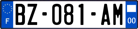 BZ-081-AM