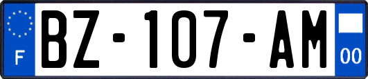 BZ-107-AM