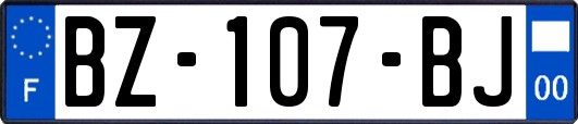 BZ-107-BJ