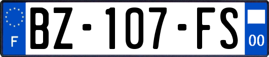 BZ-107-FS