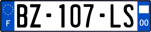 BZ-107-LS