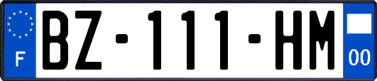 BZ-111-HM