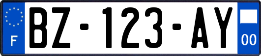 BZ-123-AY