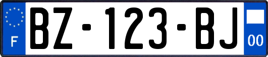 BZ-123-BJ