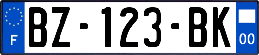 BZ-123-BK