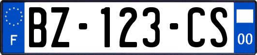 BZ-123-CS