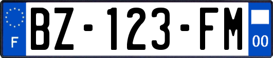 BZ-123-FM