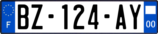 BZ-124-AY